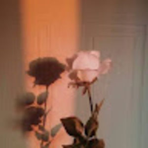 Meet your Posher, Jing